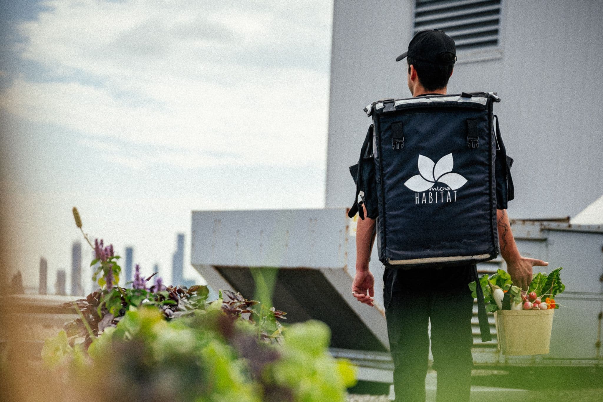 landing.microhabitat.carousel.images.0.alt