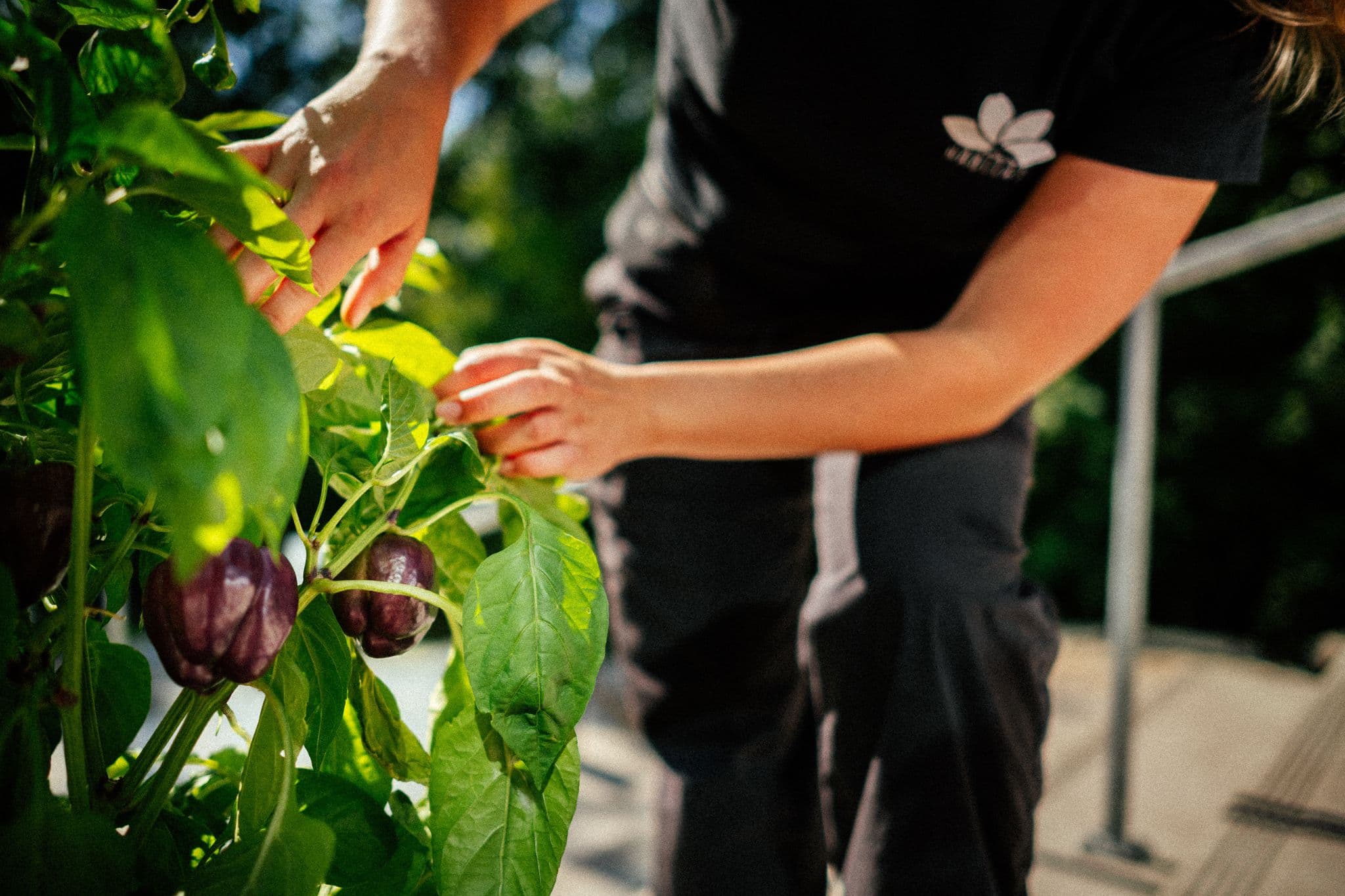 landing.microhabitat.carousel.images.1.alt